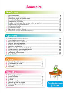 Pour comprendre DYS  Maths CM1 et CM2