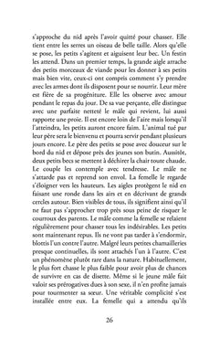 Recueil de nouvelles d'un globe-trotter