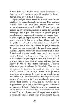 Recueil de nouvelles d'un globe-trotter