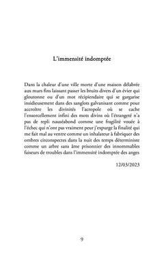L'irréalité