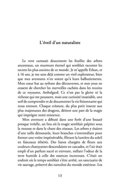 Les chroniques d'Aethelgard