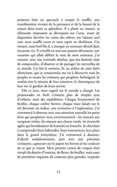 Les chroniques d'Aethelgard