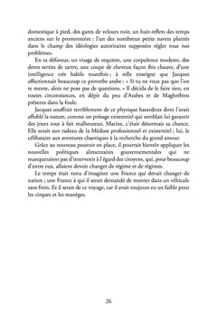 Au palais avec Marine en 2027