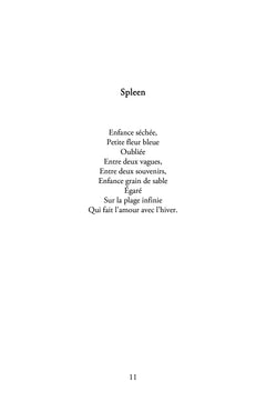 Mes étoiles filantes
