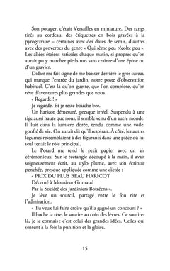 Des cailloux pour des ricochets