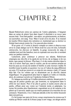 Le maillon blanc