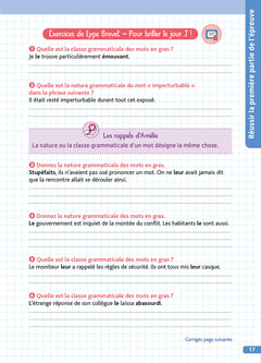Réussis l'épreuve de français au Brevet 2027 avec Amélie Vioux