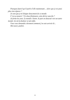 Souvenirs d'Écosse - Récit d'une grand-mère en cavale