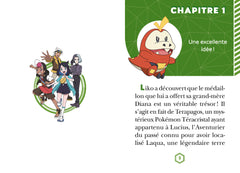Pokémon Les Horizons, Tome 17 - Friede mène l'enquête !