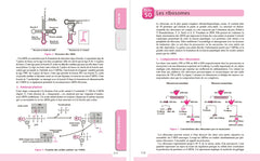 Le cours de biologie cellulaire et moléculaire - 5e éd.