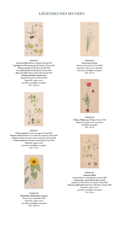 Hilma af Klint