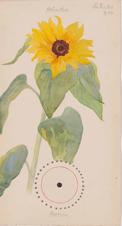 Hilma af Klint