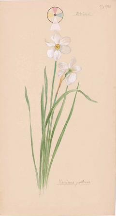 Hilma af Klint
