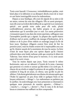 Le temps des ombres La légende de la guerre de Cent Ans