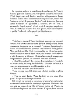 Le temps des ombres La légende de la guerre de Cent Ans
