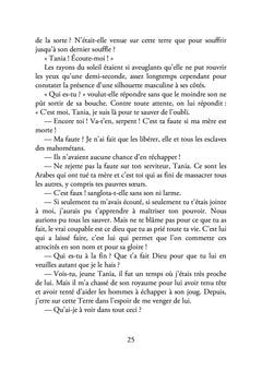 Le temps des ombres La légende de la guerre de Cent Ans