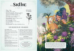Herbier secret des fées