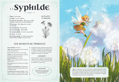 Herbier secret des fées