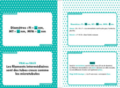 PASS & LAS Biologie cellulaire - Révisez en 200 flashcards !