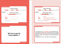 PASS & LAS Biologie moléculaire - Révisez en 200 flashcards !