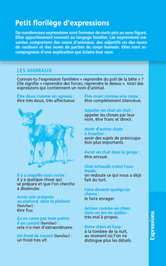 Le dictionnaire Larousse Junior poche Plus