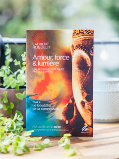 Amour, force & lumière, La Loi divine expliquée par les esprits