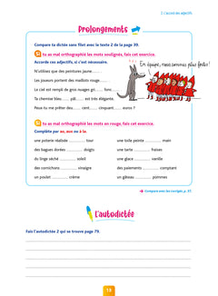 Pour Comprendre Dictées CM2