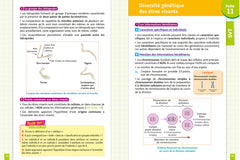 Objectif Brevet - Fiches Tout-en-un 2027