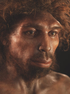 Le Grand Guide Homo Sapiens