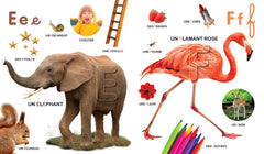 Le grand imagier de l'alphabet à toucher
