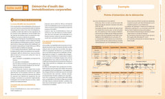 La boite à outils de l'auditeur financier - 4e éd.