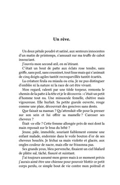 Histoires solidaires et réconfortantes
