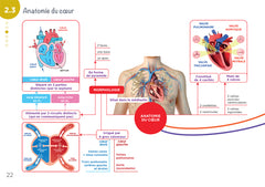 Diplôme Infirmier - DEI - Cartes mentales - Anatomie Physiologie
