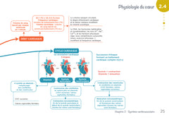 Diplôme Infirmier - DEI - Cartes mentales - Anatomie Physiologie