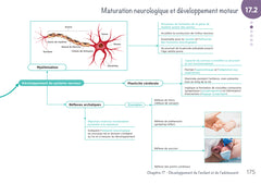 Diplôme Infirmier - DEI - Cartes mentales - Anatomie Physiologie