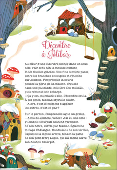 Ma grande histoire de l'avent - Noël à Jolibois