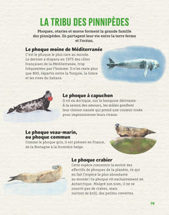 Ma vie avec les animaux marins - Les récits passionnants d'un océanographe