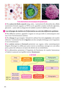 Prépabac - Mes épreuves anticipées Français et Maths + et mes spé - 1ere ST2S