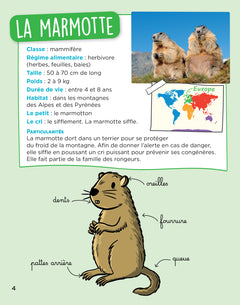 En route pour le documentaire - Cycle 2 - Les animaux du monde - Ed. 2026
