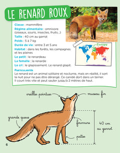 En route pour le documentaire - Cycle 2 - Les animaux du monde - Ed. 2026
