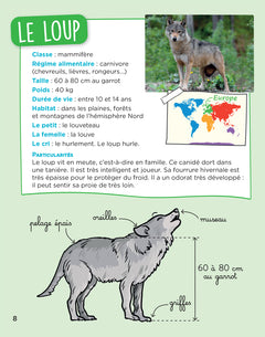 En route pour le documentaire - Cycle 2 - Les animaux du monde - Ed. 2026