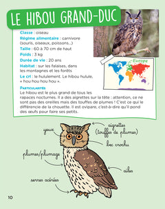 En route pour le documentaire - Cycle 2 - Les animaux du monde - Ed. 2026
