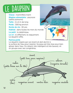 En route pour le documentaire - Cycle 2 - Les animaux du monde - Ed. 2026