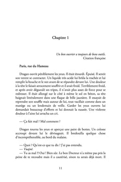 Bande de porcs