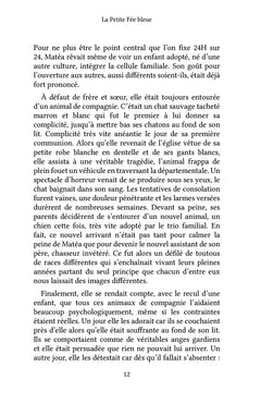 La Petite Fée bleue
