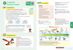 Tout savoir 5e - Tout en un - Nouveaux programmes