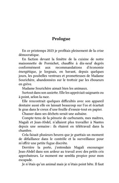 Où vas-tu mon chien quand tu rêves ?