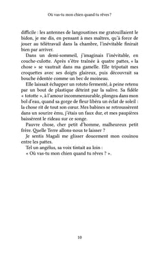 Où vas-tu mon chien quand tu rêves ?