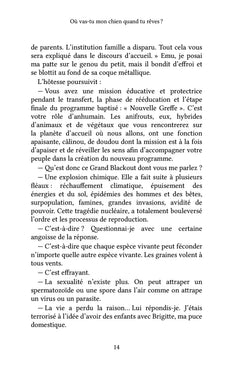 Où vas-tu mon chien quand tu rêves ?