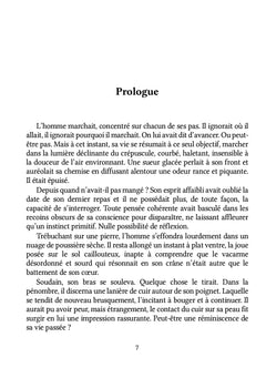 La Colère du Vidourle